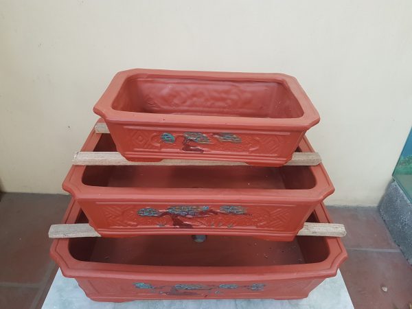 Chậu cảnh Ang đất đỏ chữ nhật CB-B4