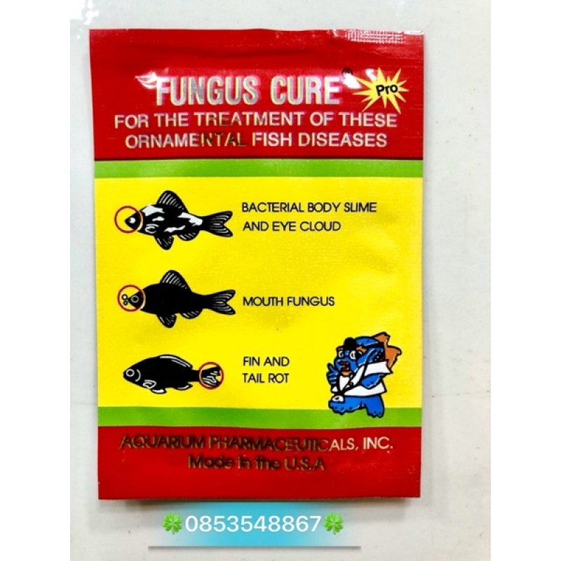 Fungus Cure t.r.ị bệnh cá nhiễm khuẩn nấm đục mắt thối rữa vây và đuôi