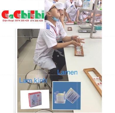 LAMEN KÍNH HIỂN VI