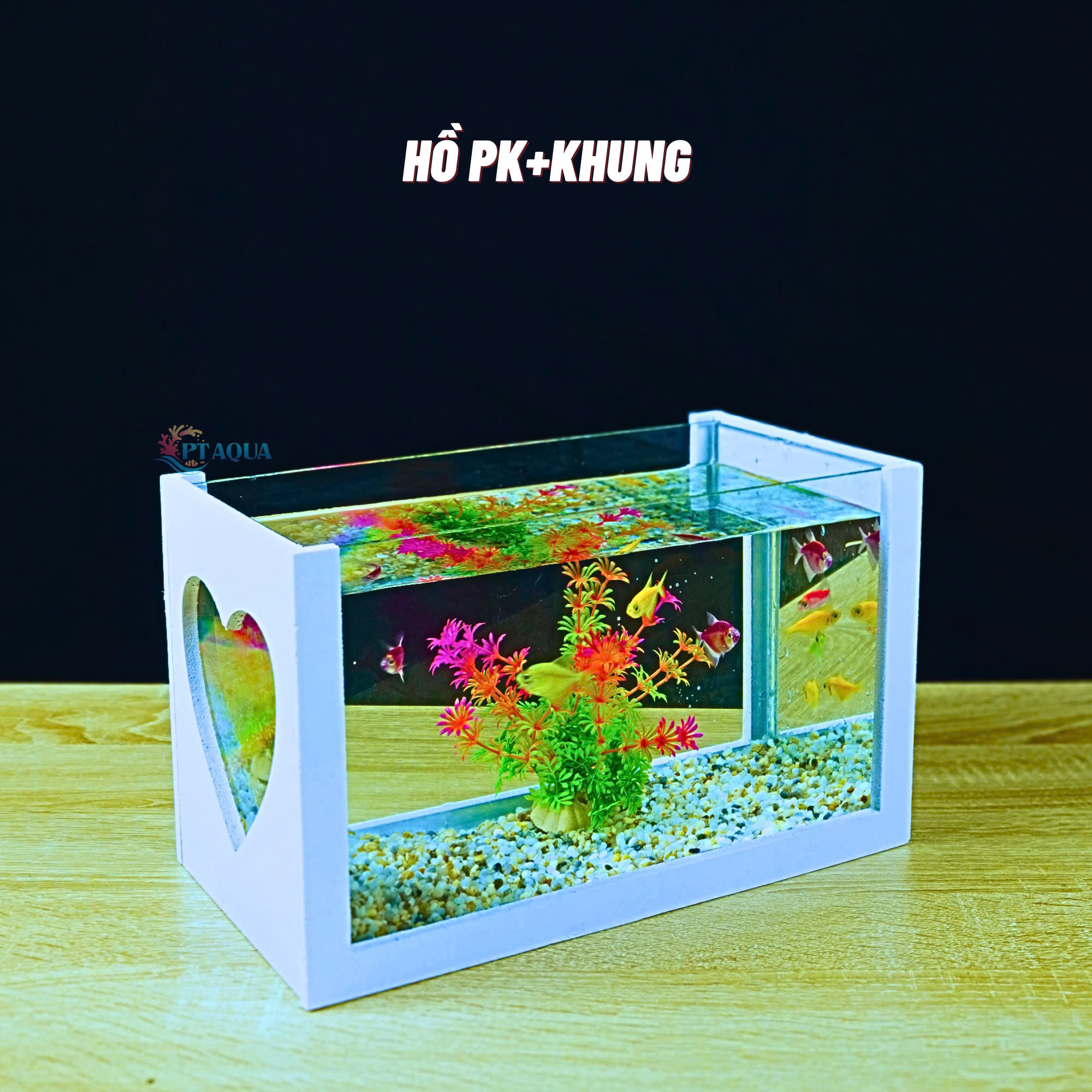 Bể cá mini FULL COMBO để bàn đầy đủ phụ kiện