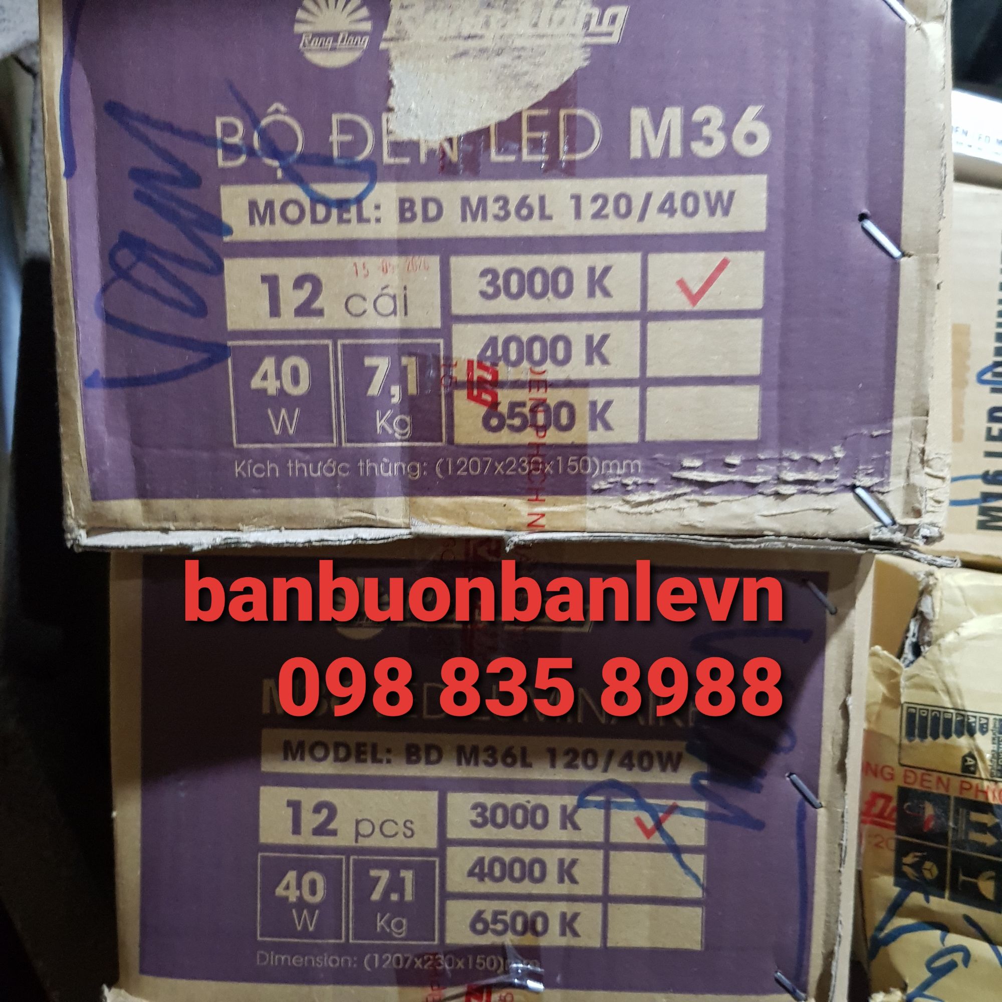 Combo 12 bộ đèn M36 40w Rạng Đông