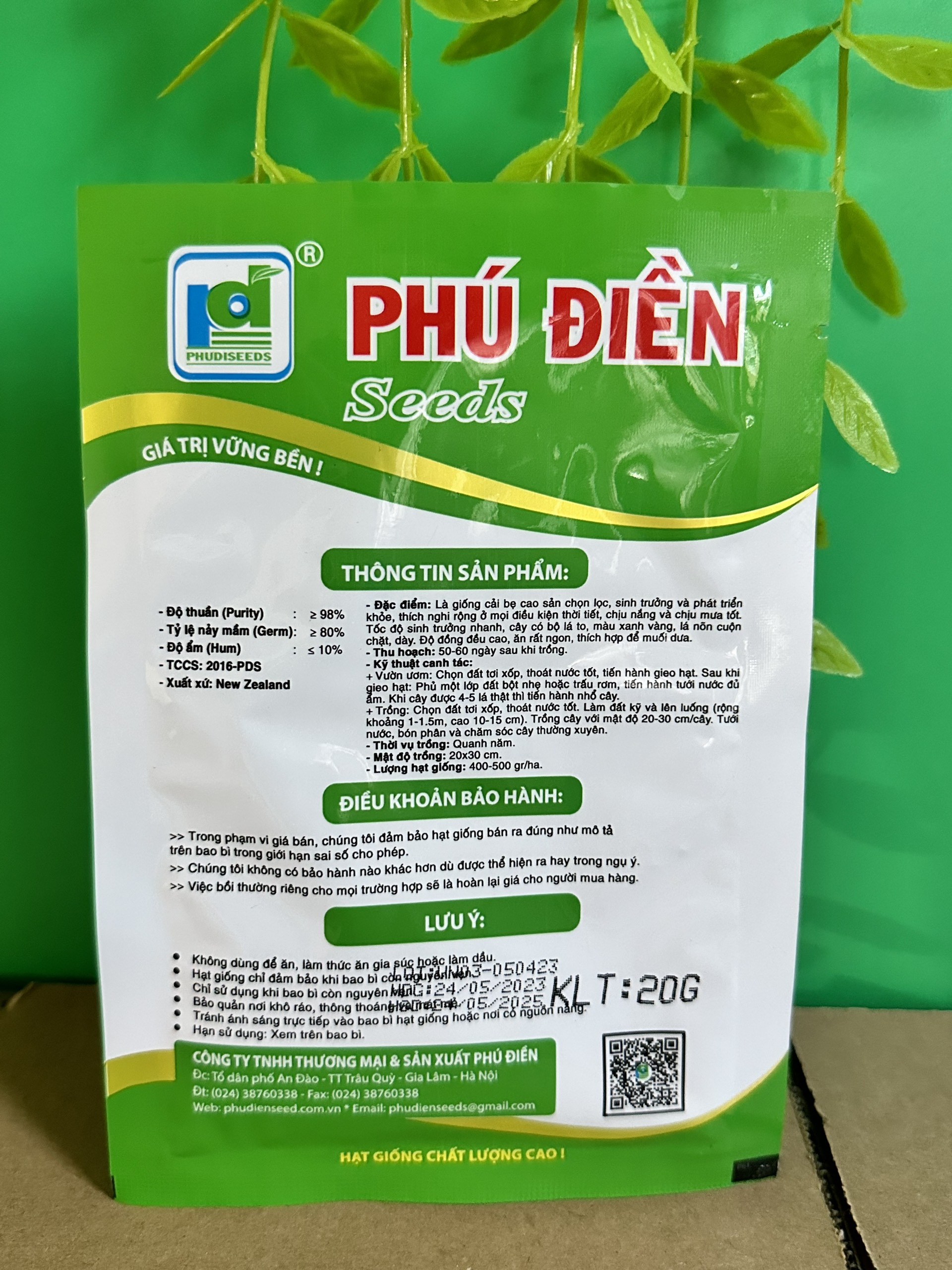 Hạt giống rau cải bẹ dưa