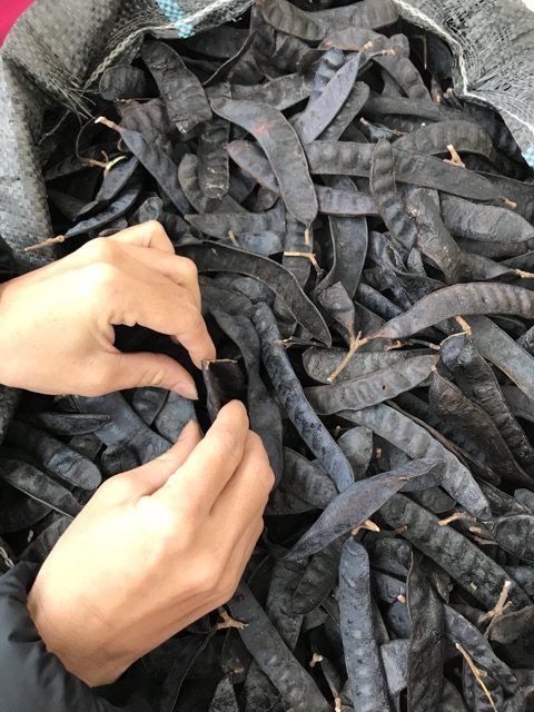 Bồ kết khô 500g