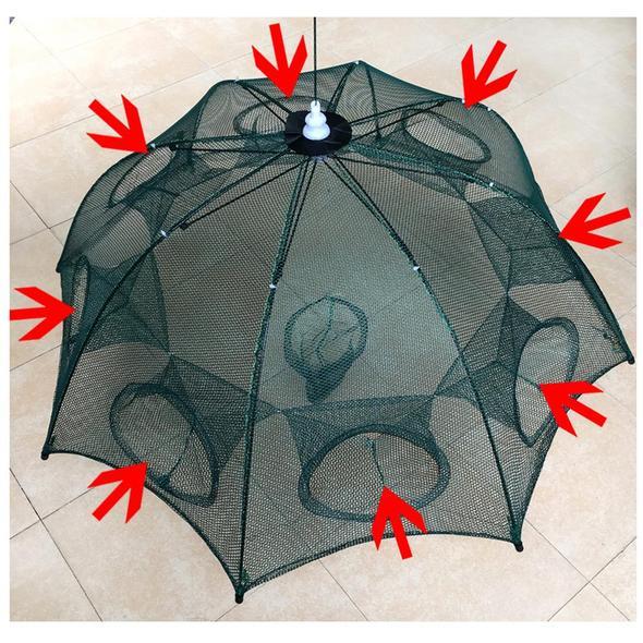 Lưới bát quái đánh bắt cá cực tiện lợi