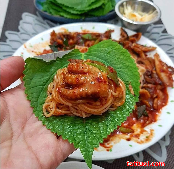 Cây lá mè hàn quốc