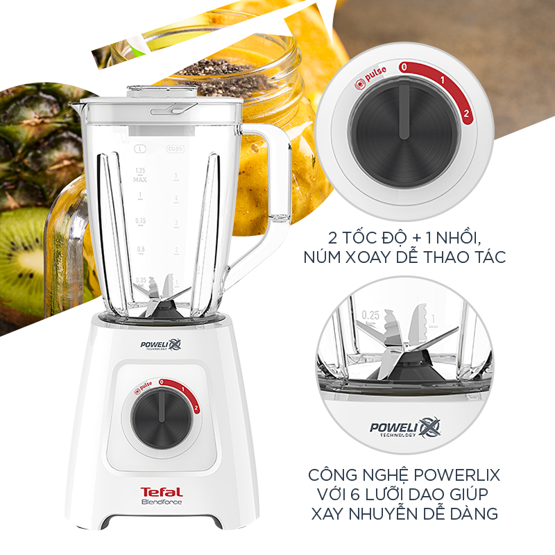 Máy xay sinh tố đa năng Tefal BL42Q166