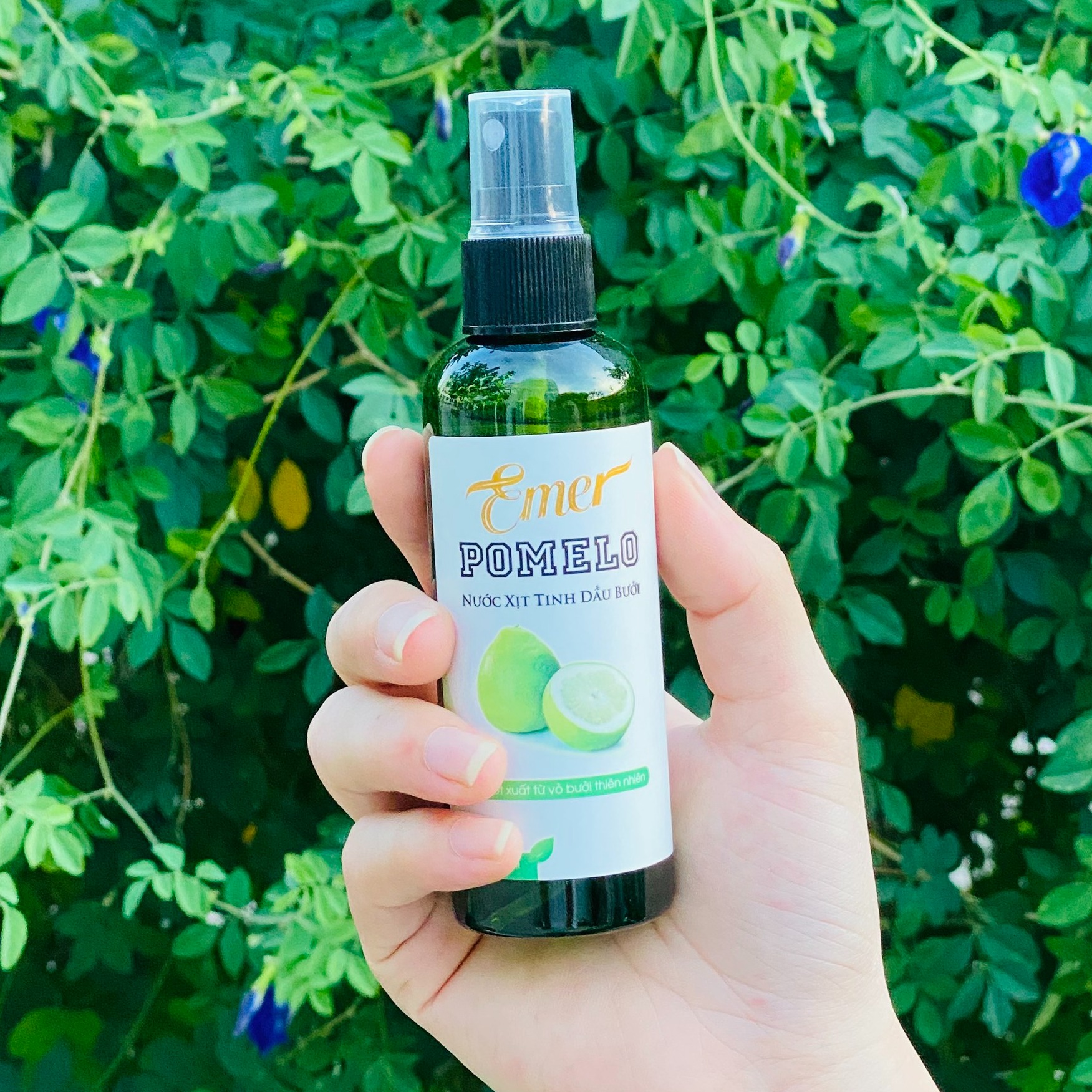 Chai xịt tinh dầu bưởi Pomelo Emer 100ml giảm rụng tóc kích mọc tóc dưỡng tóc chuyên sâu