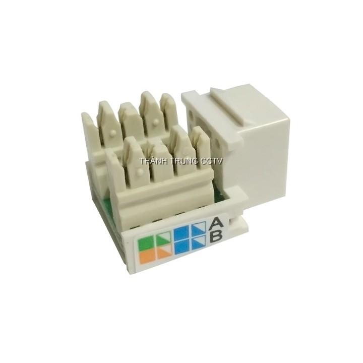 Nhân mạng âm tường Cat5e