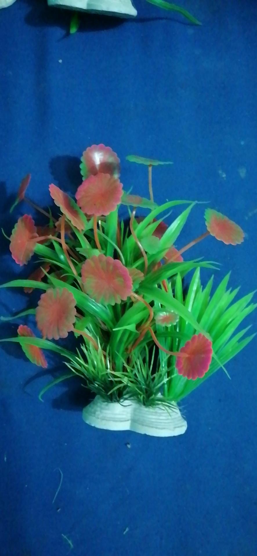 Cây trang trí bể cá nhiều màu 15cm