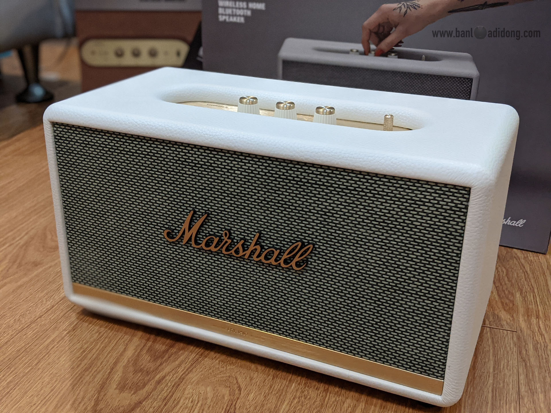 Loa Marshall Stanmore 2