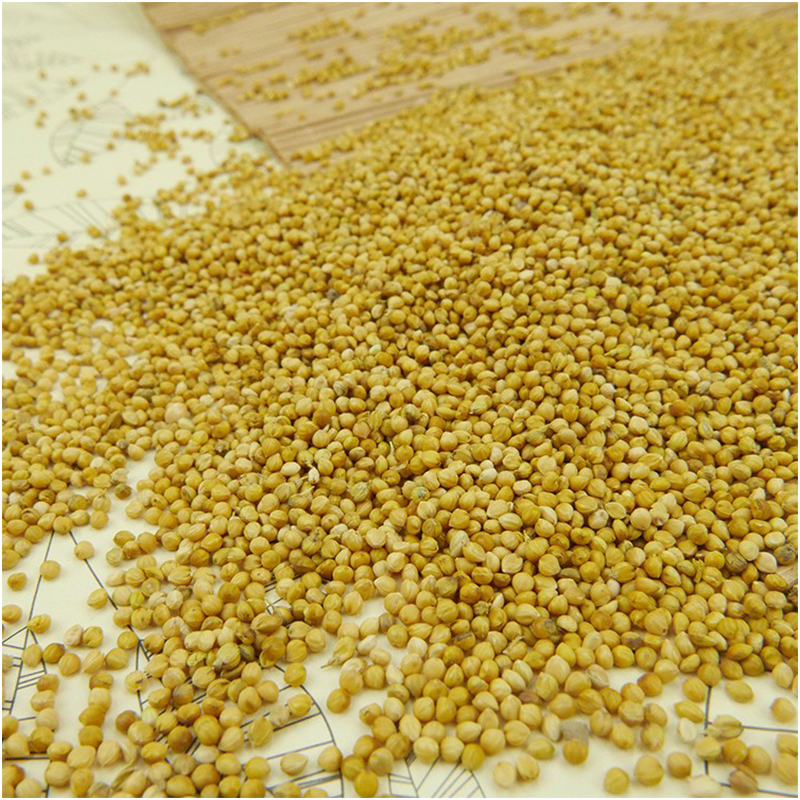 Hạt kê nếp vàng, hạt to đã tách vỏ [1KG] - DB117