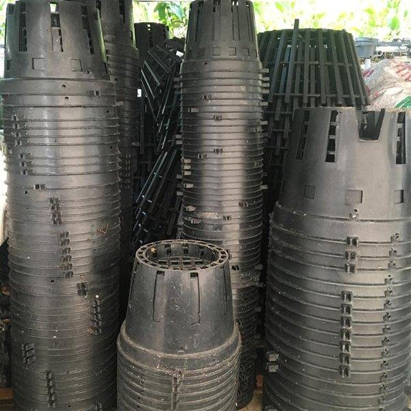Combo 10 chậu trồng lan đen fi 16