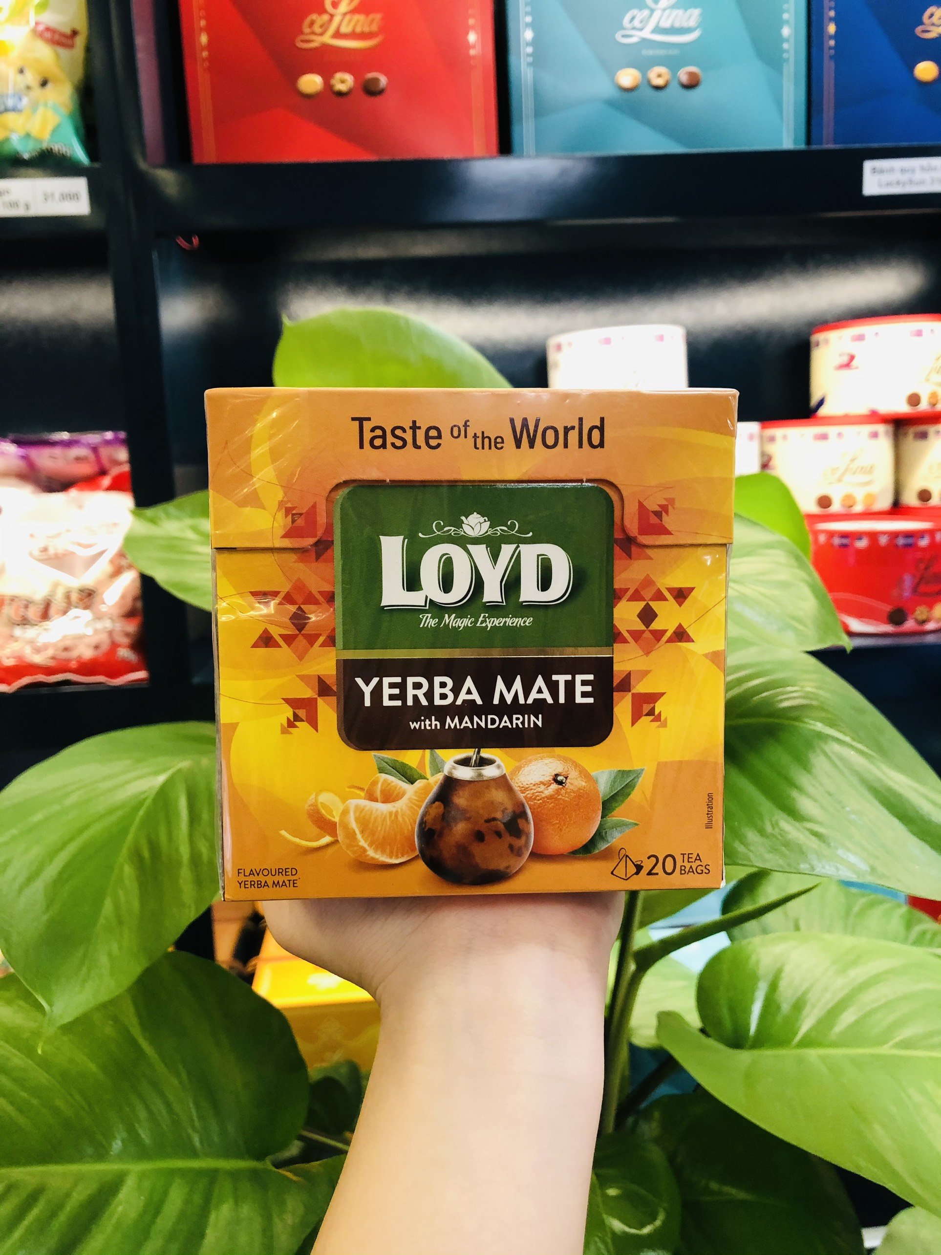 TRÀ LOYD DATE T3/4-2024
