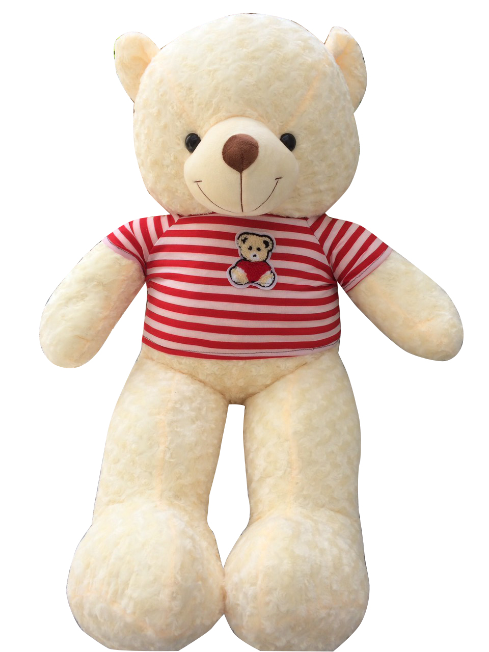 [HCM]Gấu bông Teddy khổ vải 1m màu kem