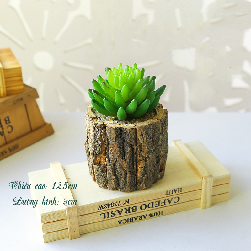 Cây giả - Chậu Sen đá Cổ Thụ (cả cây và chậu)
