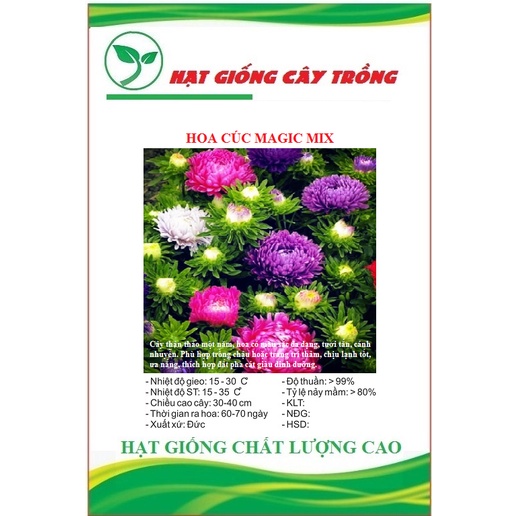 Hạt giống hoa cúc magic mix màu-gói 50 hạt