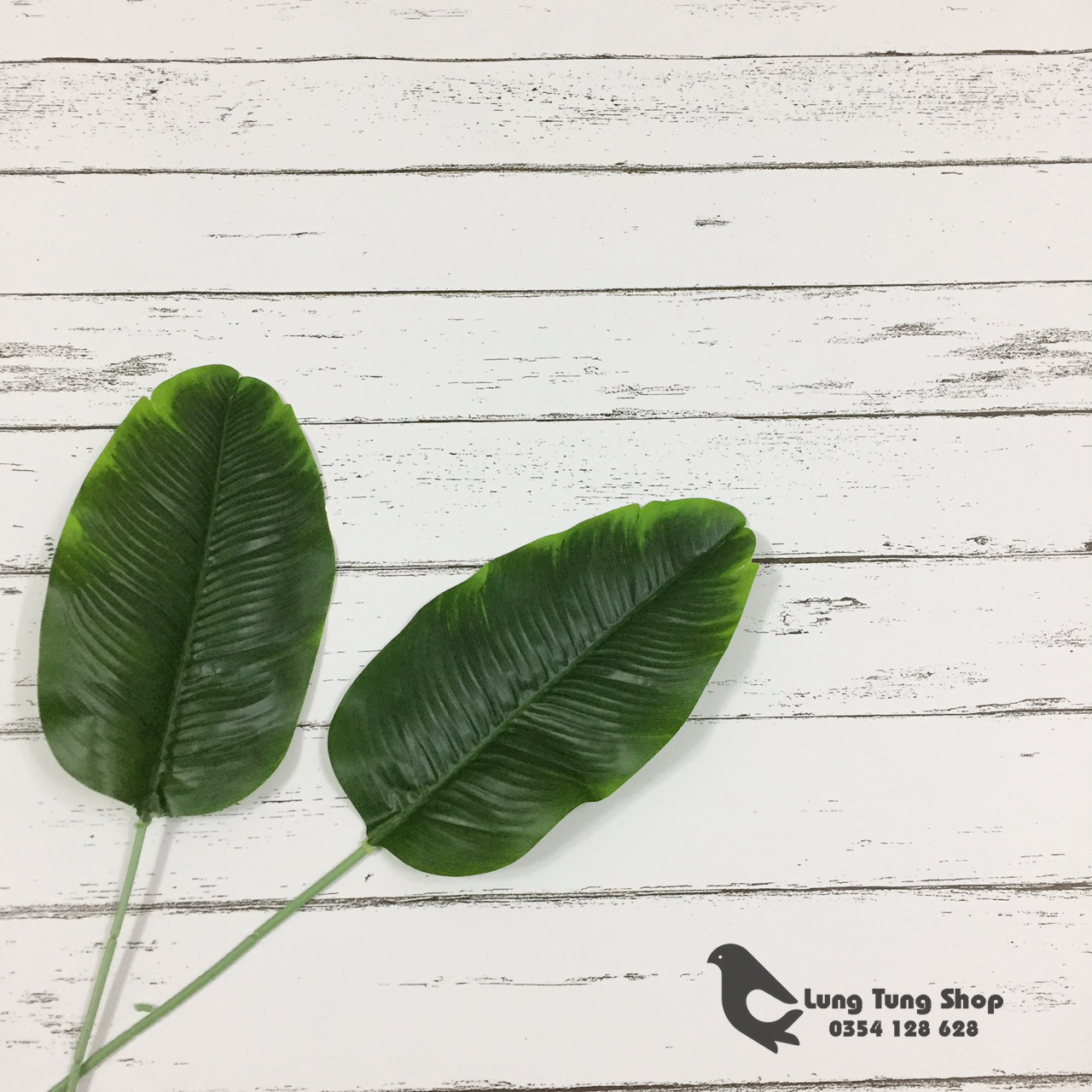 Lá chuối làm đạo cụ trang trí chụp hình sản phẩm