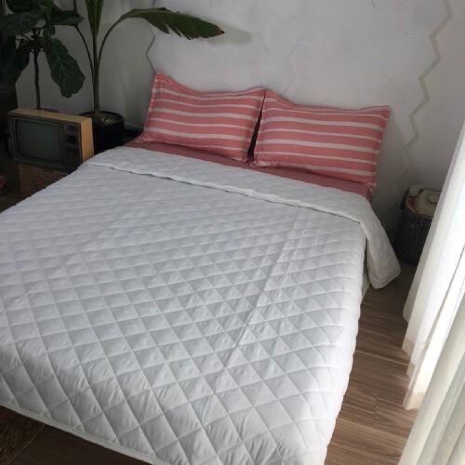 Ruột chăn hè mỏng 2m-2m2 hàng đẹp
