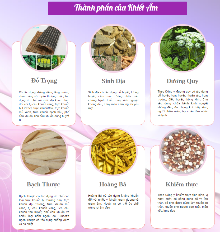 Viên Uống Phụ Khoa Khiết Âm ZN