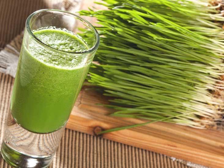 2Kg Hạt Giống Cỏ Lúa Mì / Lúa Mạch cho Mèo.