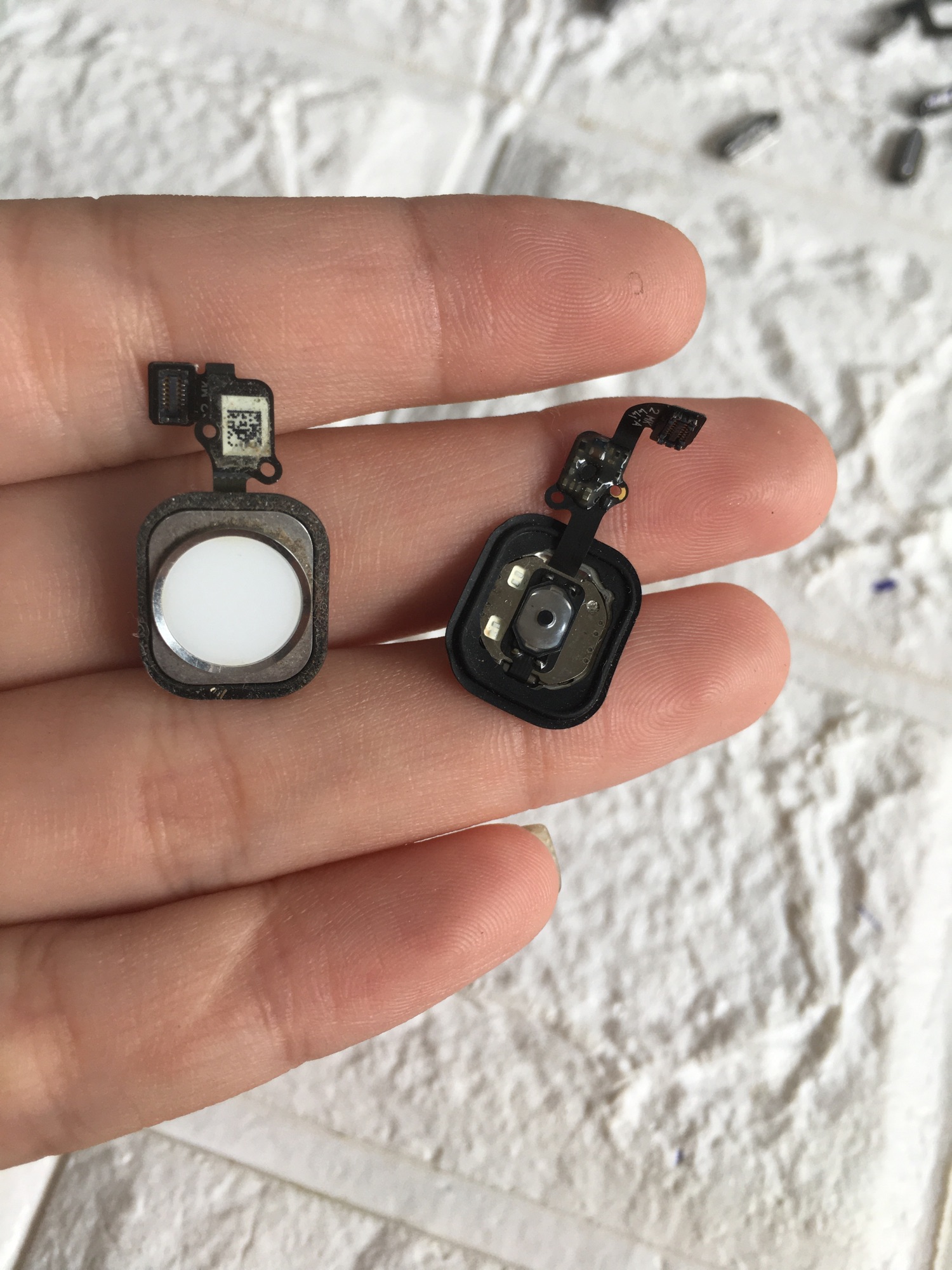 Nút Home IPhone 6 / 6G / 6 Plus Zin Hàng Cao Cấp