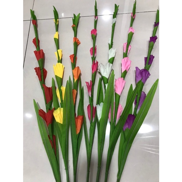 combo 10 củ  Hoa lay ơn đủ màu