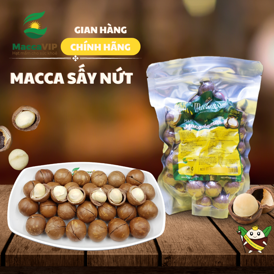 Túi zip 500g hạt mắc ca Đăk Lăk - MaccaVIP (Nứt vỏ tự nhiên, size 22-30mm)