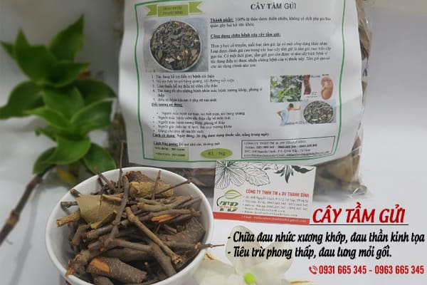 Cây Tầm Gửi Khô 1KG - Đông Y Thanh Bình