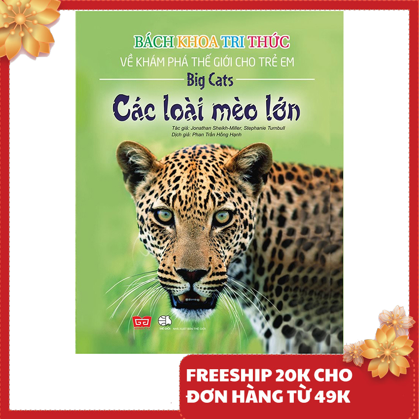 Sách thiếu nhi - Bách khoa tri thức về khám phá thế giới cho trẻ em - Các loài mèo lớn