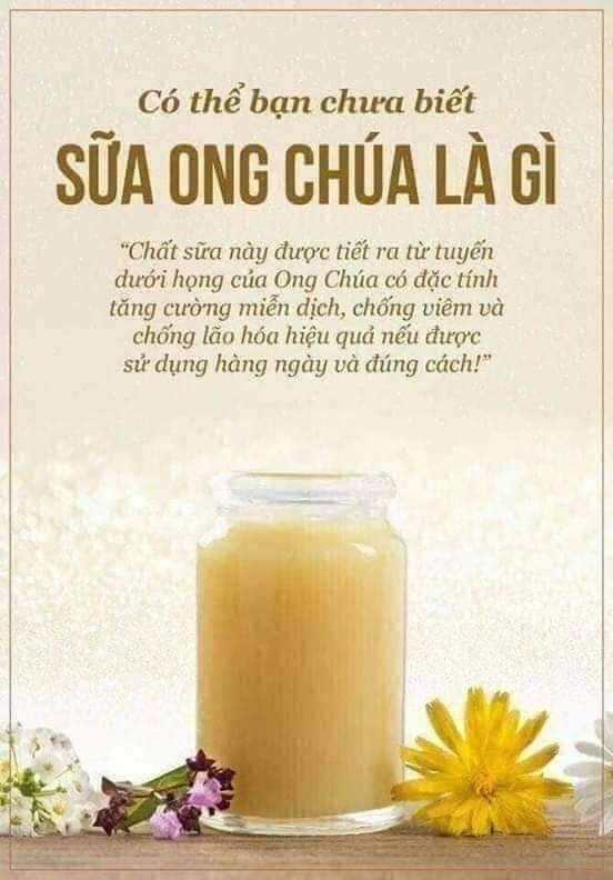 Sữa ong chúa  Trần Mao 100gr