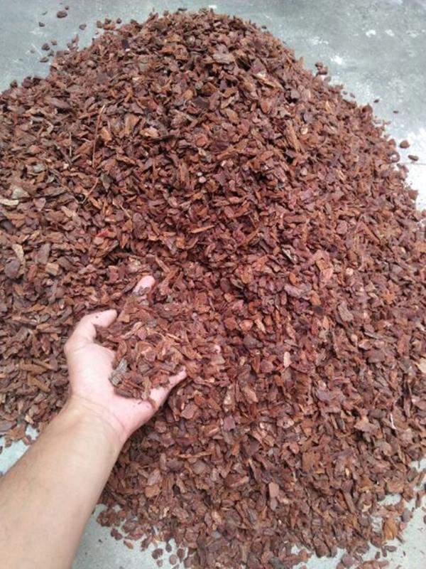 1 kg Vỏ Thông vụn Trồng Lan