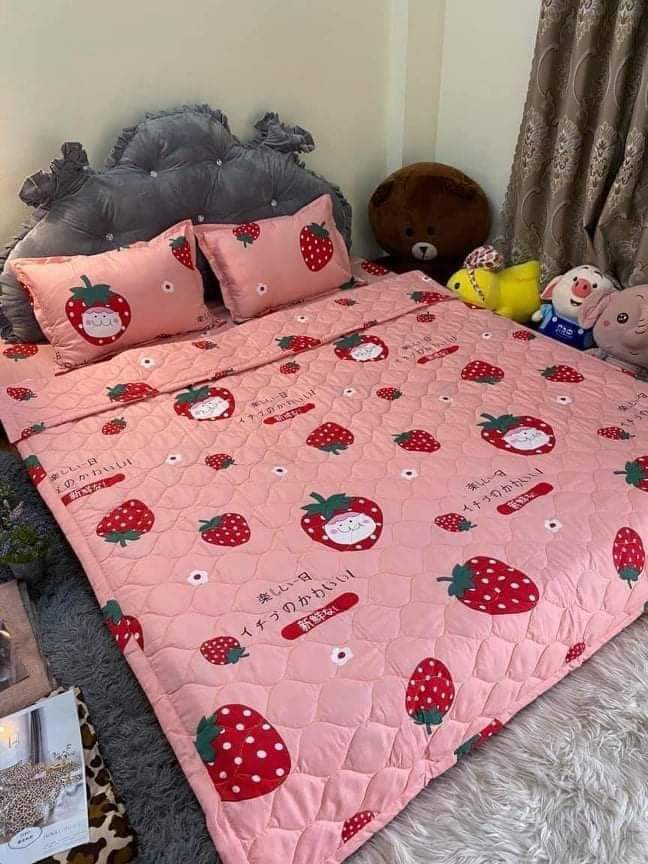 Bộ Chăn Ga Gối Hè Thu 5 Món (Gồm 1 Chăn hè chần bông+ 1 Ga bo chun+ 2 Vỏ gối nằm+1 Vỏ gối ôm)