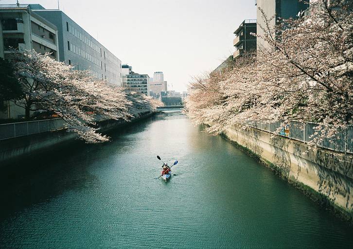Film FujiColor C200 Indate 2023