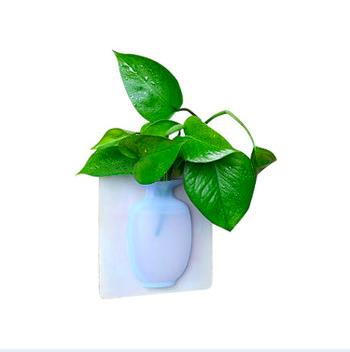 [HCM]Bình hoa dán tường silicon thông minh tiện dụng ( màu ngẫu nhiên )