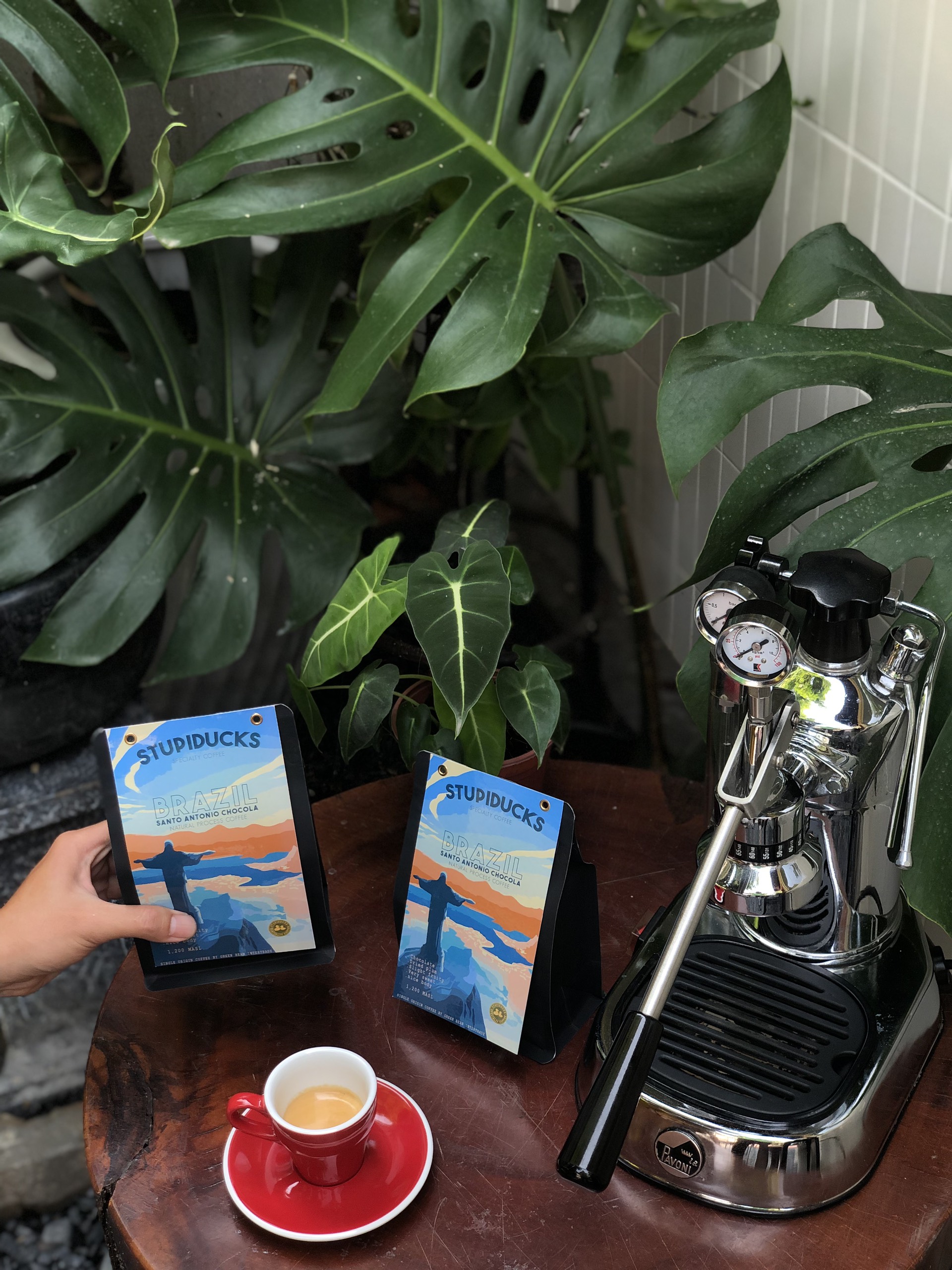 Cà Phê Brazil rang đậm vừa Arabica Espresso Santo Antonio Chocola - Stupiducks Specialty Coffee
