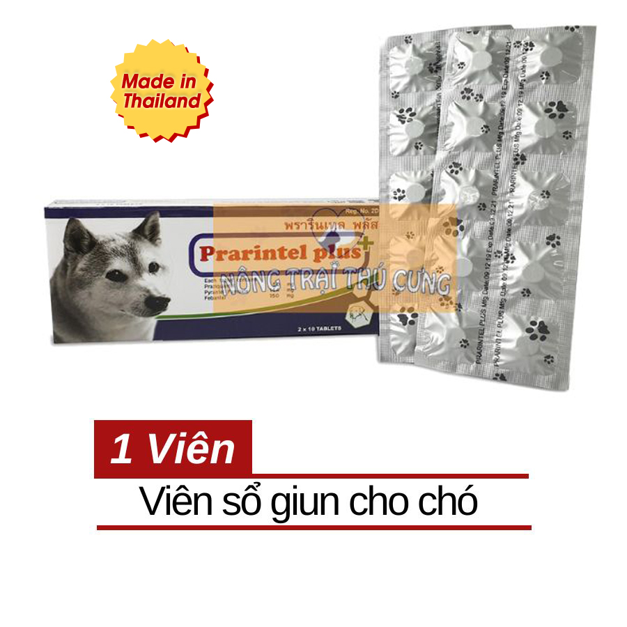 Viên xổ giun cho chó prarintel - made in thái lan -