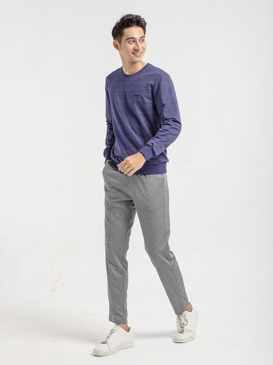 Quần Thu Đông Aristino APA006w9 Màu Xám Regular
