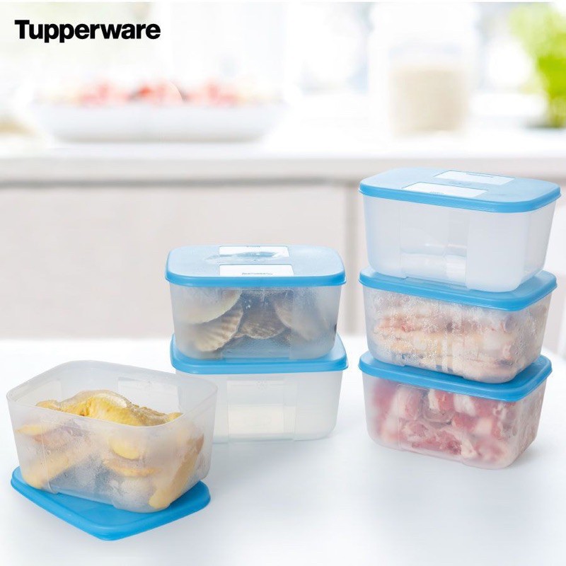 Hộp trữ đông Freezermate 650ml Tupperware ( bán lẻ )