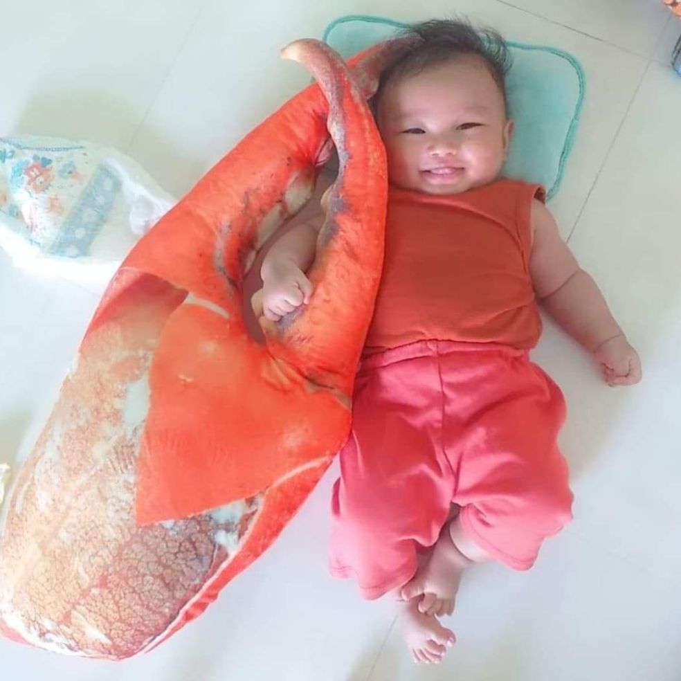 GẤU BÔNG CÀNG CUA 3D SIÊU HOT