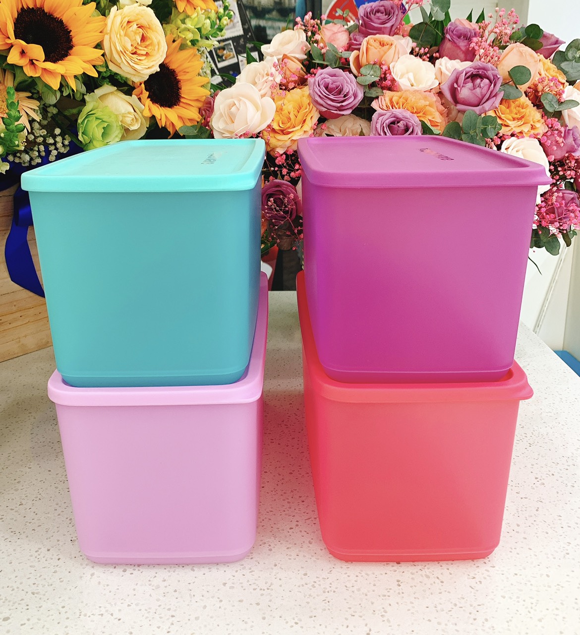 Bộ hộp trữ mát Tupperware Funtastic Four (set 4)