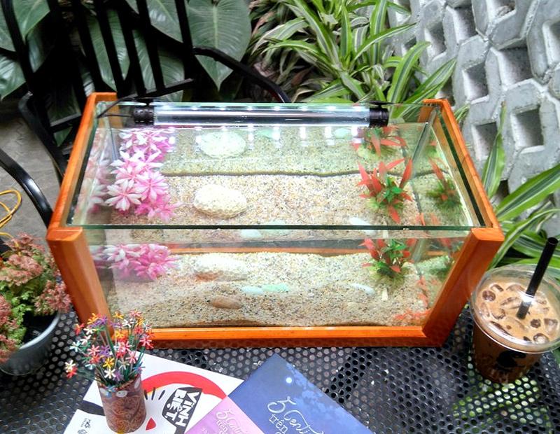 Bể cá kiểng khung gỗ hình trái tim 40cm