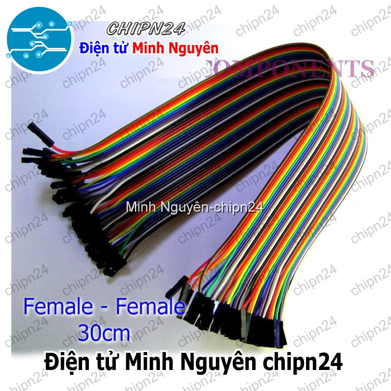 [20 sợi] (P73) Dây Cắm Test Board 30cm Cái-Cái - HH000205