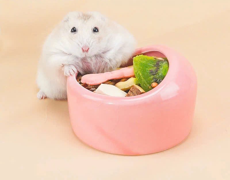 chén vòm trơn size lớn cho hamster /sóc /nhím /fat tail /dumbo / rat -T3 PETS SHOP