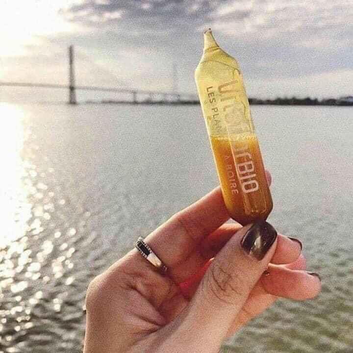 SỮA ONG CHÚA VITAFLOR BIO