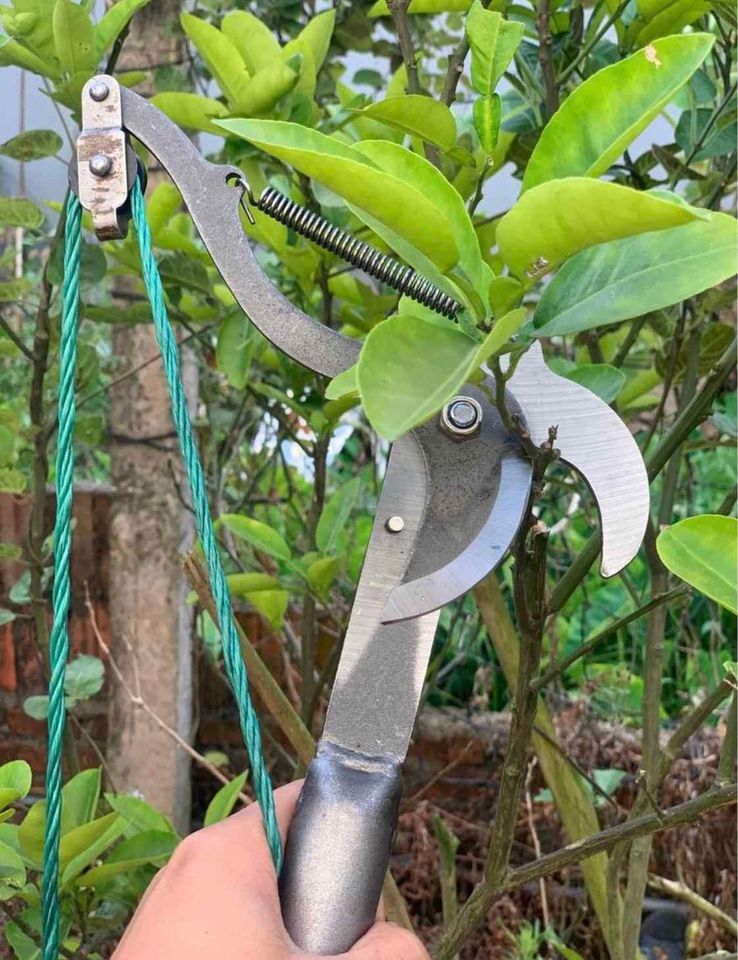 Đầu kéo cắt cành cây trên cao dây xanh