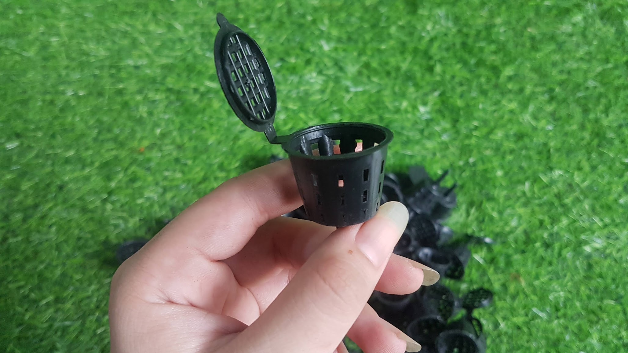 Chậu rổ đựng phân tan chậm 50 cái=20k
