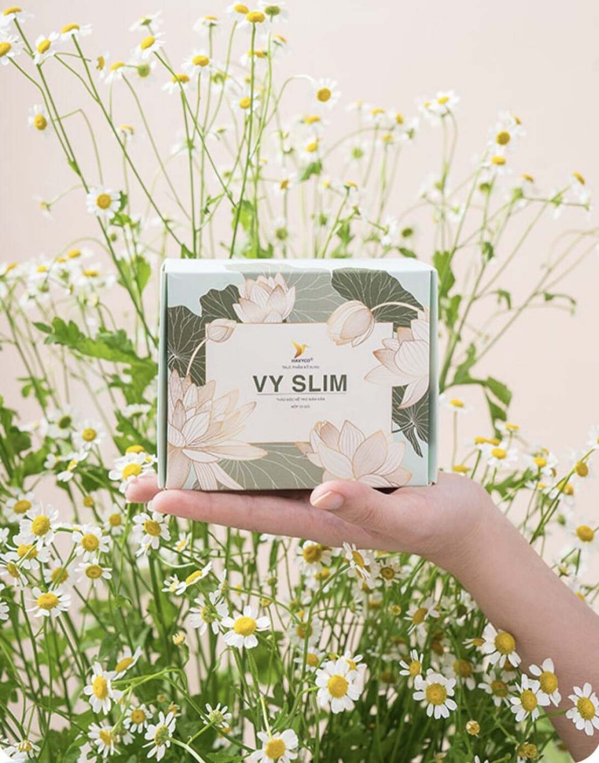 Trà Thảo Mộc Giảm Cân (liệu trình 30 ngày) mẫu mới Vy Slim