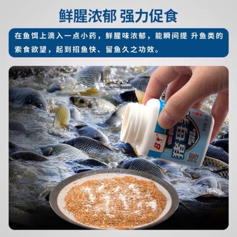 Sữa chép câu cá Baisha BS