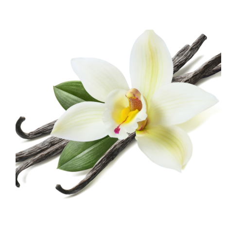 1kg Bột vani Đài Loan