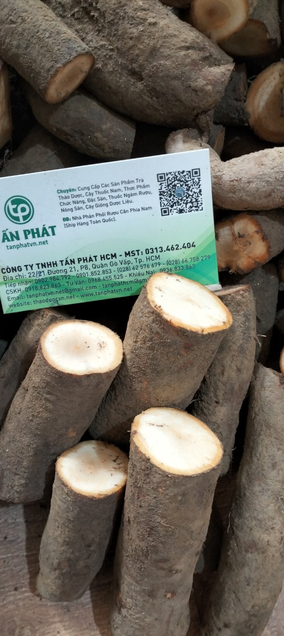 Củ gai tươi an thai 500g - tấn phát